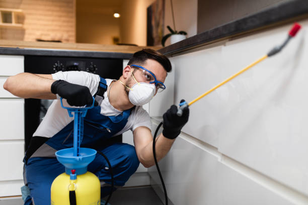 Best Pest Control for Businesses  in Burlington, WA