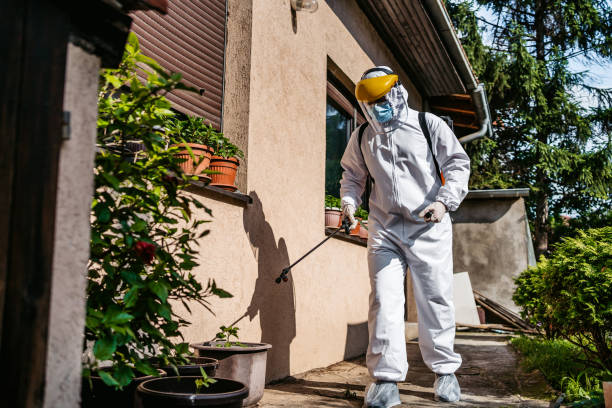 Best Affordable Pest Control Services  in Burlington, WA