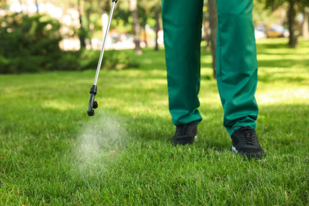 Best Rat Extermination Near Me  in Burlington, WA