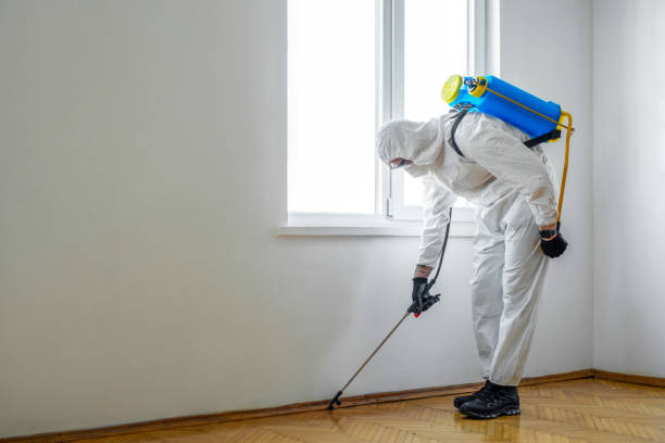 Best Best Pest Control Companies  in Burlington, WA