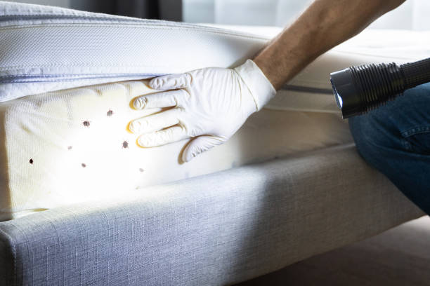 Best Pest Prevention Services  in Burlington, WA